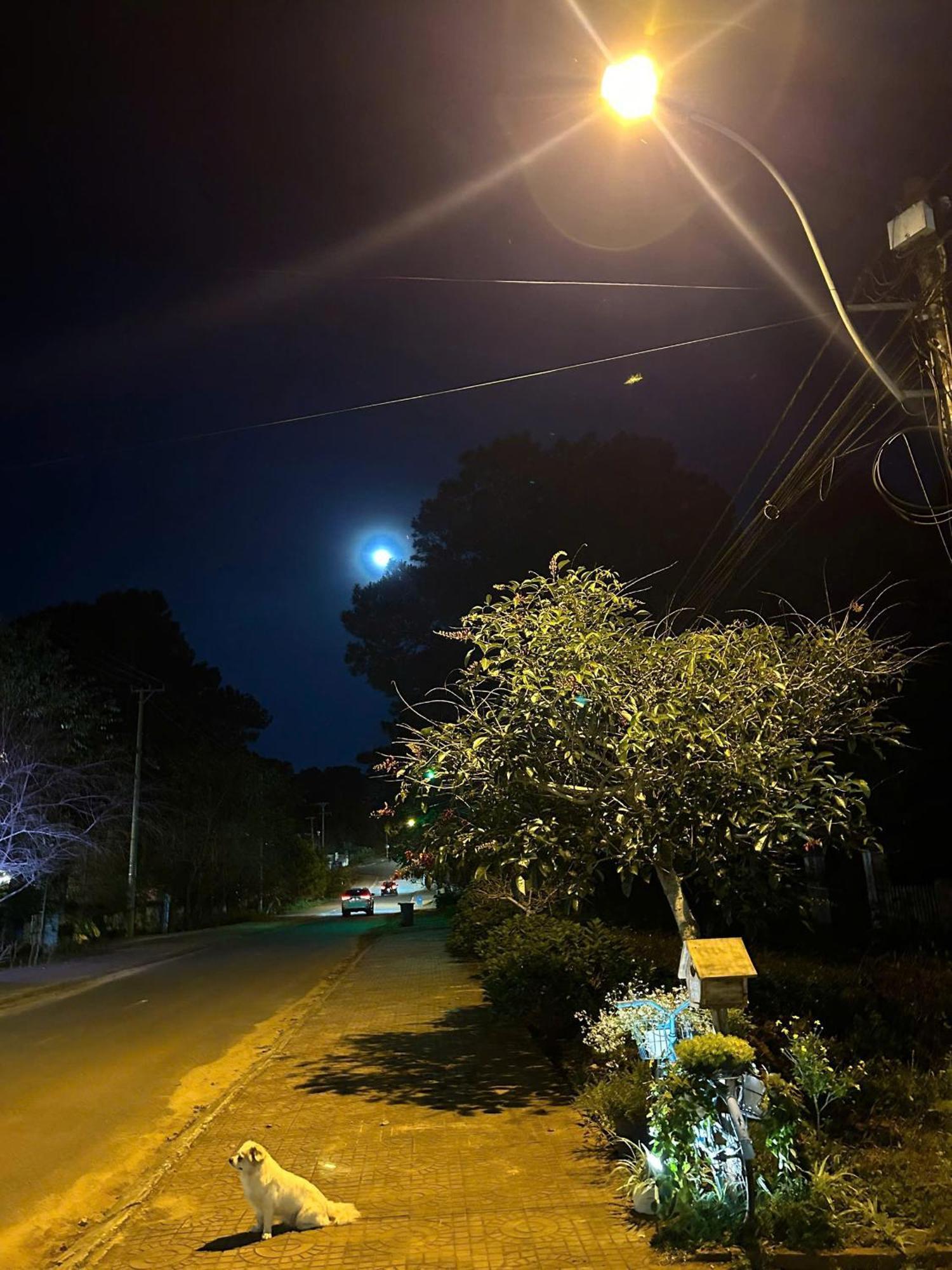 Chino Homestay Mang Den - Villa Tai Mang Den Kon Tum Exterior foto